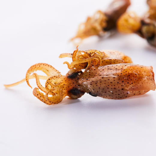 干海兔250g养马岛野生小笔管蛸纯手工晒制泡洗下厨依然鲜美渔场干货