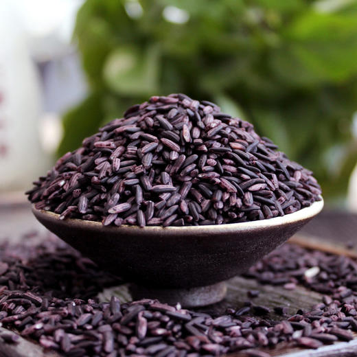滇园墨江紫米1000g紫糯米血糯米云南特产大米杂粮黑糯米老品种