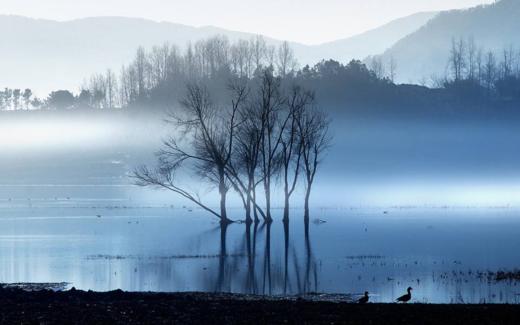 水墨云南：乌蒙山黑颈鹤的冰雪奇缘：———行摄乌蒙山：大山包、念湖 冬雪与黑颈鹤的梦幻相约7天 商品图8
