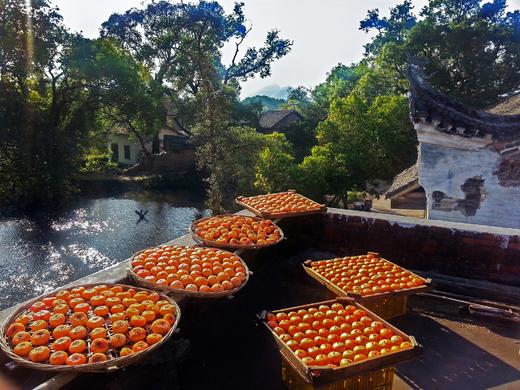 秋摄广西：  桂林相公山、乌桕滩红叶、恭城红岩村柿林 5天 商品图4