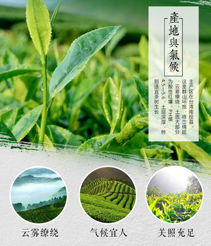 正宗台湾翠峰福韵茶半斤礼盒装礼袋装