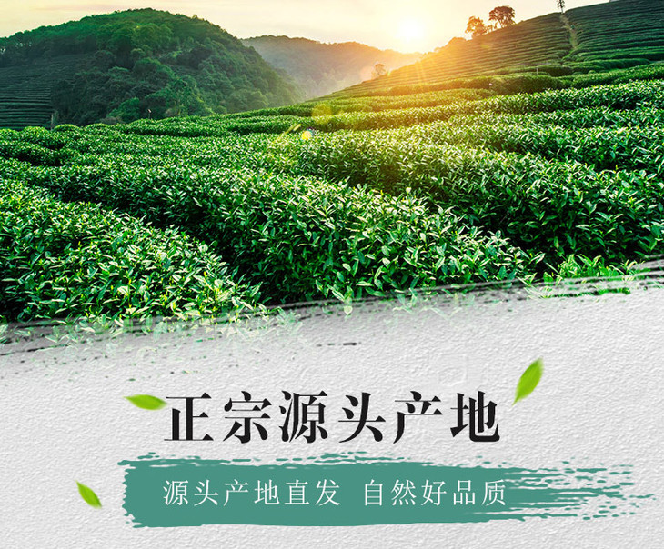 正宗台湾翠峰福韵茶半斤礼盒装礼袋装