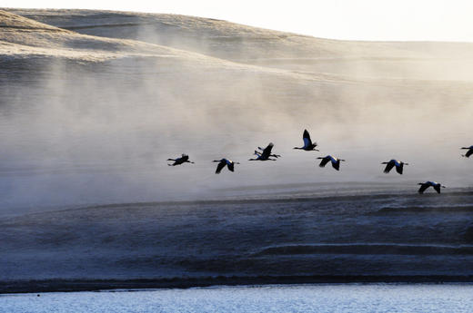 水墨云南：乌蒙山黑颈鹤的冰雪奇缘：———行摄乌蒙山：大山包、念湖 冬雪与黑颈鹤的梦幻相约7天 商品图1