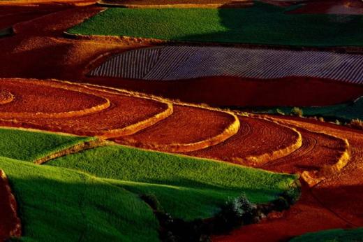 七彩云南——元阳梯田、建水古城、元谋土林、东川红土地风光8天摄影团 商品图6