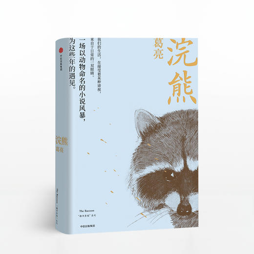 葛亮小说套装4册：戏年+七声+浣熊+谜鸦 商品图4