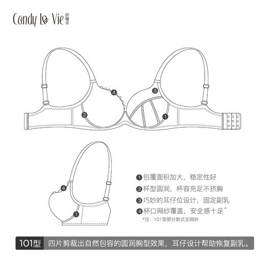 白香雪文胸 商品图1