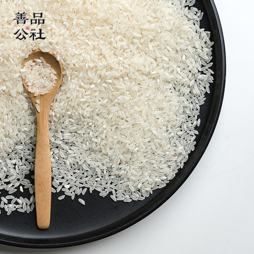 善品公社•舒兰大米 | 稻花香 | 4斤/8斤祥云礼盒装 商品图2