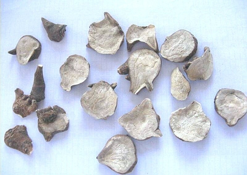 四川江油生附子片精选(团购18/100克)有毒,不懂勿拍