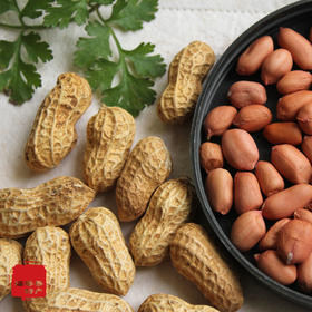 【百汇到家】散水煮小花生  花生