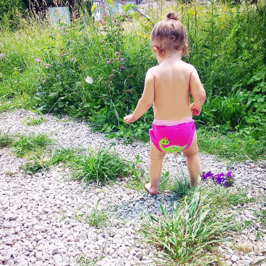 如厕好帮手 美国zoocchini 如厕训练学习裤 3条装 棉材质 柔软透气 萌趣卡通造型 适合2 4岁