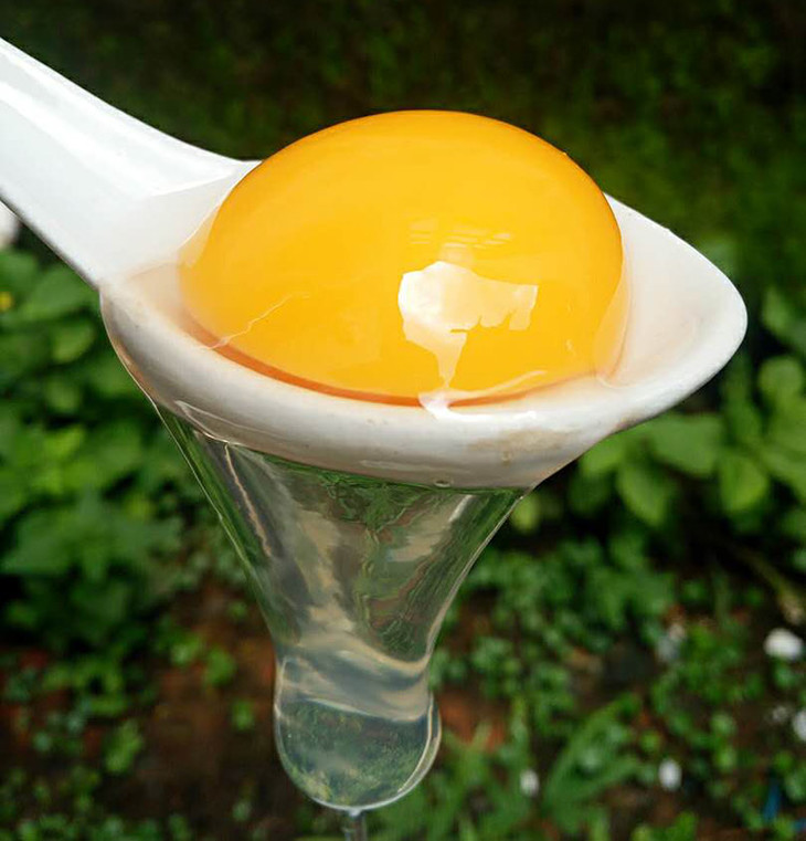 富硒连城白鹜鲜鸭蛋30枚【产地直发 普快包邮】