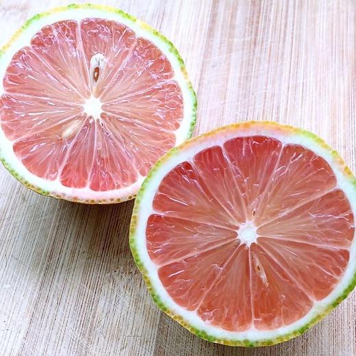 美国新奇士斑马柠檬