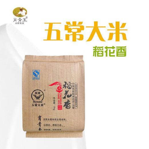 【肖青玉-五常大米 稻花香2号新米】5KG家庭装【原产地直发】 商品图1