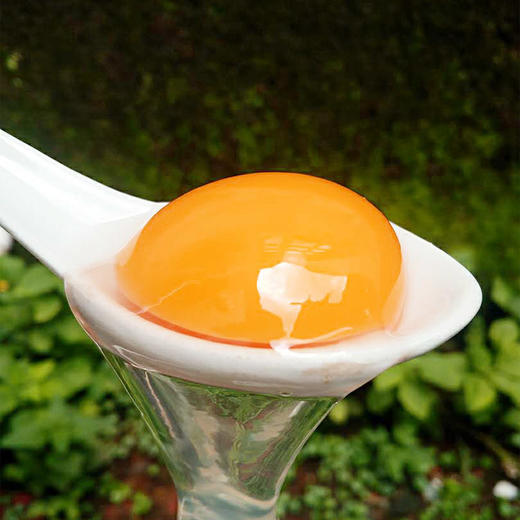 富硒连城白鹜鲜鸭蛋30枚【产地直发 普快包邮】