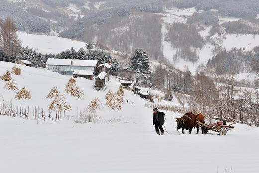 【东北冰雪恋歌A】长白岛、雾凇岛、魔界、雪岭、十五道沟、松岭雪村8天深度摄影 商品图3