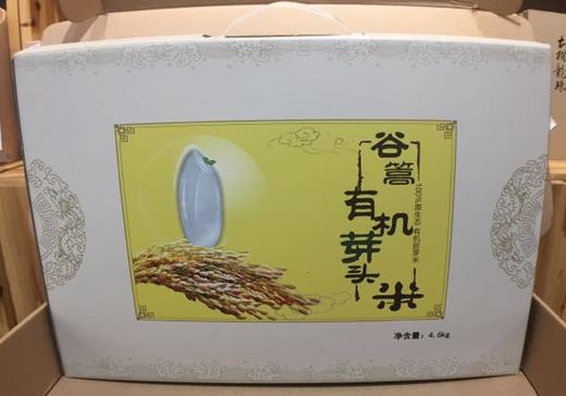 有机活性胚芽米，可以发芽的米 商品图1