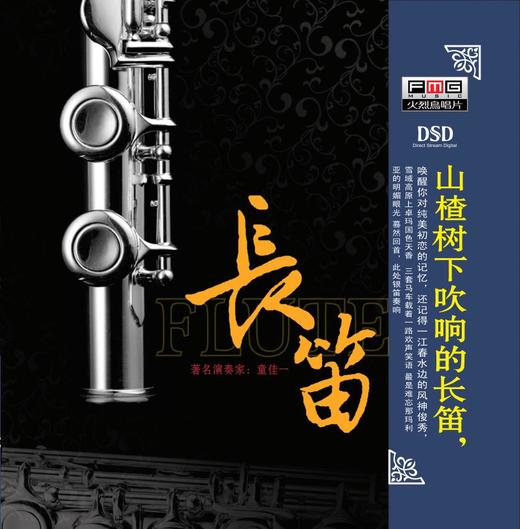 长笛 | 童佳一 商品图0