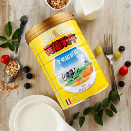 法国原罐进口 荷兰乳牛 全脂甜奶粉900g罐装 全家营养(有效期至19年8