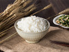 有机活性胚芽米，可以发芽的米 商品缩略图0