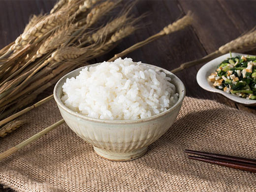 有机活性胚芽米，可以发芽的米 商品图0