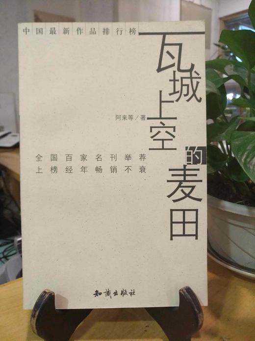 瓦城上空的麦田 商品图0