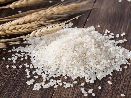 有机活性胚芽米，可以发芽的米 商品图4