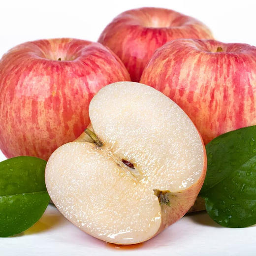 西安晚报推荐—陕西白水苹果果径75--85（7-8kg)【原产地直发】 商品图0