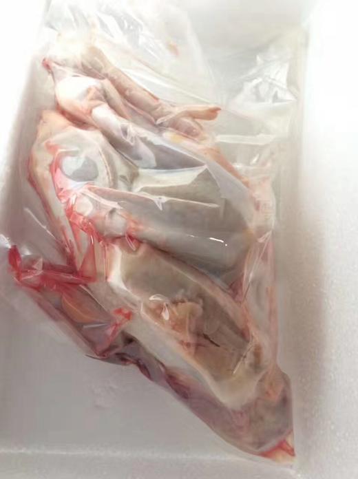 煲汤小柴鸡老母鸡 商品图4