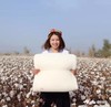 阿克苏日报推荐-正宗新疆棉被（1.5m*2m)【原产地直发】 商品缩略图0
