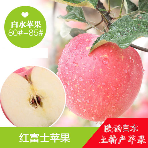 西安晚报推荐—陕西白水苹果果径80--85（3.5-4kg)【原产地直发】 商品图0