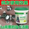 【鸽能活菌素】一样顶十用  赛鸽健康看的见（搏冠） 商品缩略图0