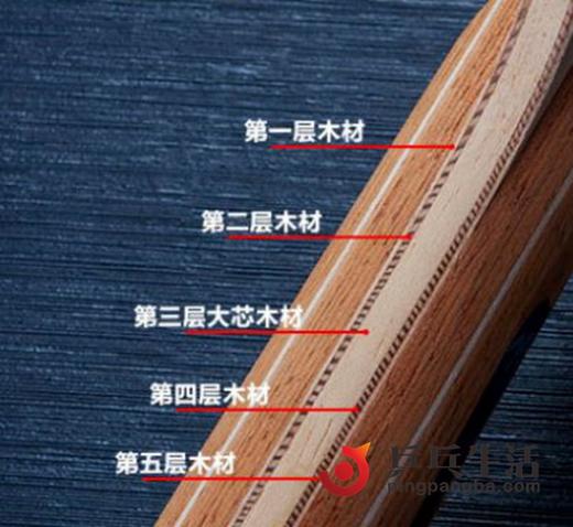 友谊729 X-3 专业5层纯木乒乓球拍底板两面弧圈型 商品图3