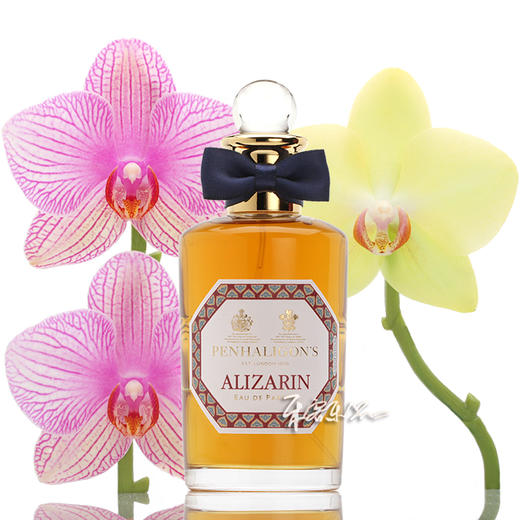 潘海利根 沉香皮革 红色燃料 香水 Penhaligon`s Alizarin 分装试管小样/余香 商品图0