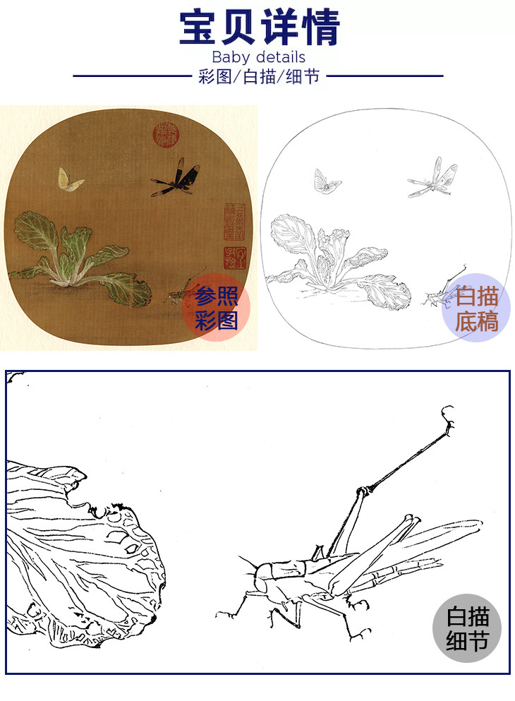 宋画花鸟小品白描底稿许迪野蔬草虫图多种白描尺寸可选gh26