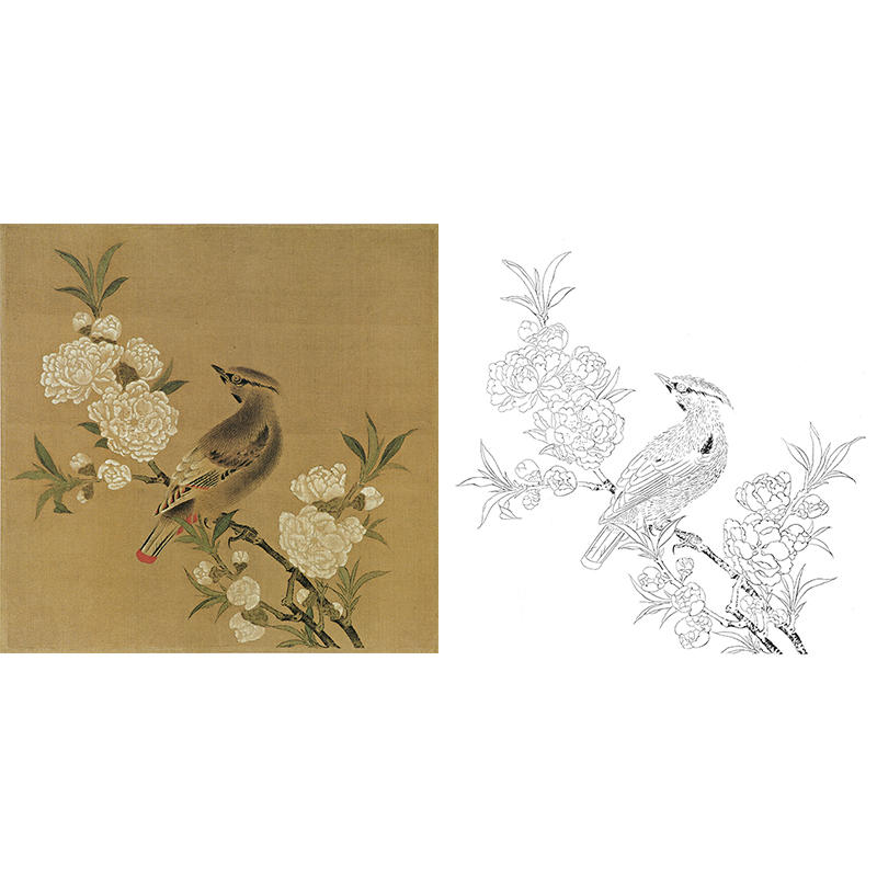 宋画花鸟小品白描底稿-佚名-桃花山鸟图-gh07