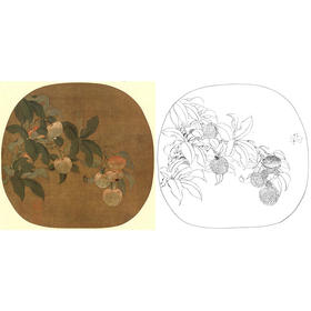 宋画花鸟小品白描底稿-佚名《荔枝图》-多种白描尺寸可选-GH37