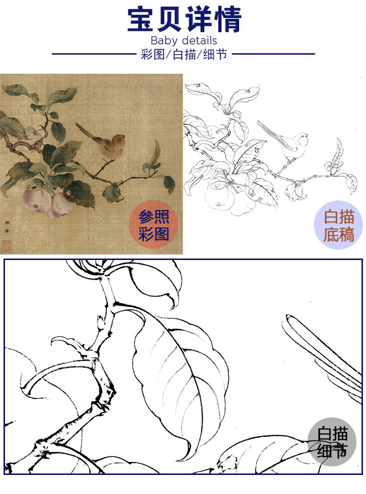 宋画花鸟白描底稿林椿果熟来禽图斗方小品册页gh08