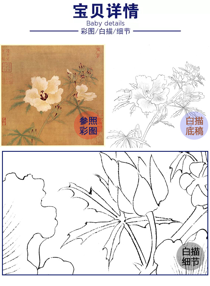 宋画花鸟白描底稿佚名秋葵图斗方小品册页gh20