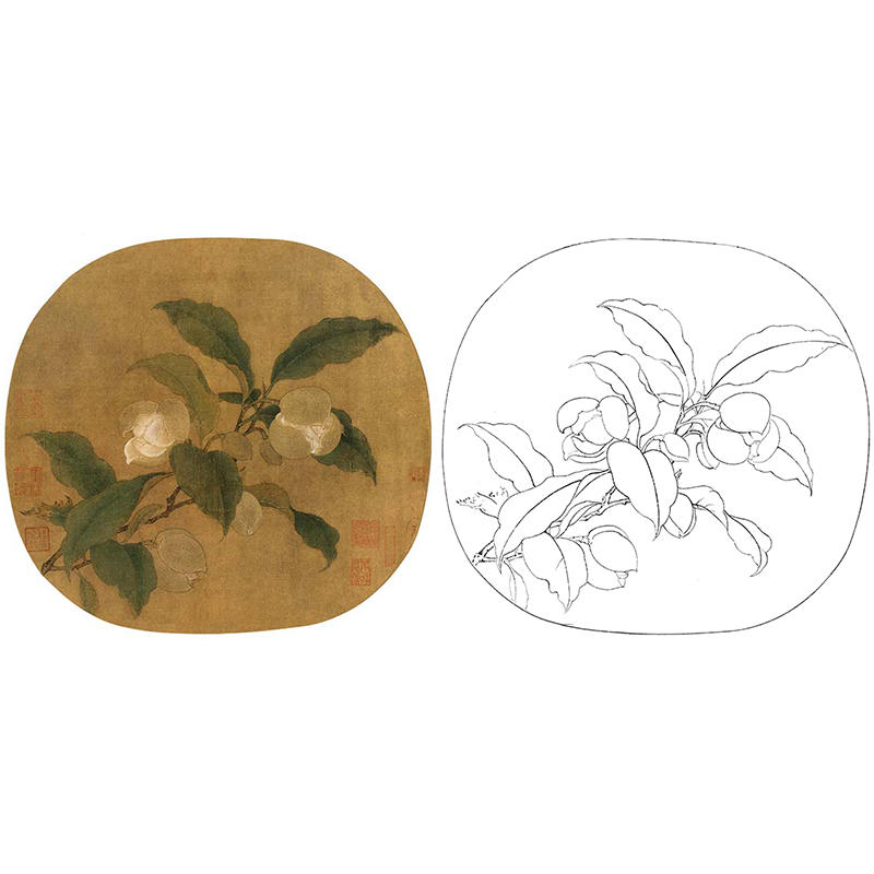 宋画花鸟小品白描底稿-佚名-夜合花图-gh33