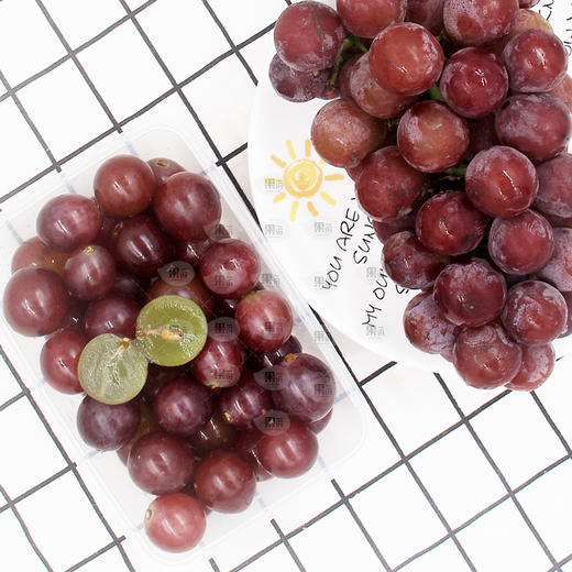 山东崂山葡萄切