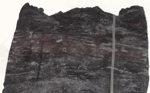 【福建霞浦紫菜海带】【五星推荐】南海海带之乡，原生态海带，只做头水紫菜，品鉴师好评高达百分，无污染、放心、好吃 商品图4