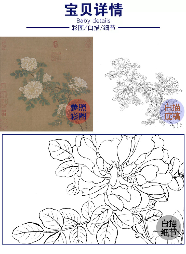 宋画花鸟白描底稿马远白蔷薇图斗方小品册页gh22