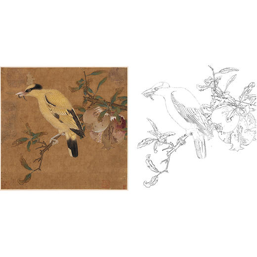 宋画花鸟白描底稿毛益榴枝黄鸟图斗方小品册页gh21