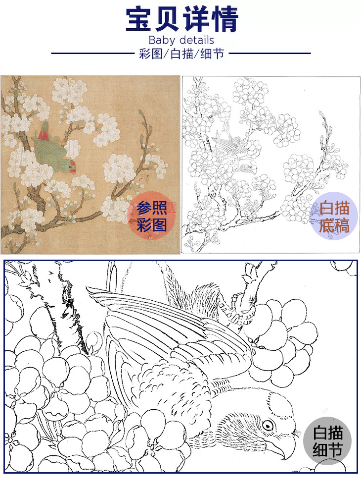 宋画花鸟白描底稿佚名梨花鹦鹉图斗方小品册页gh25