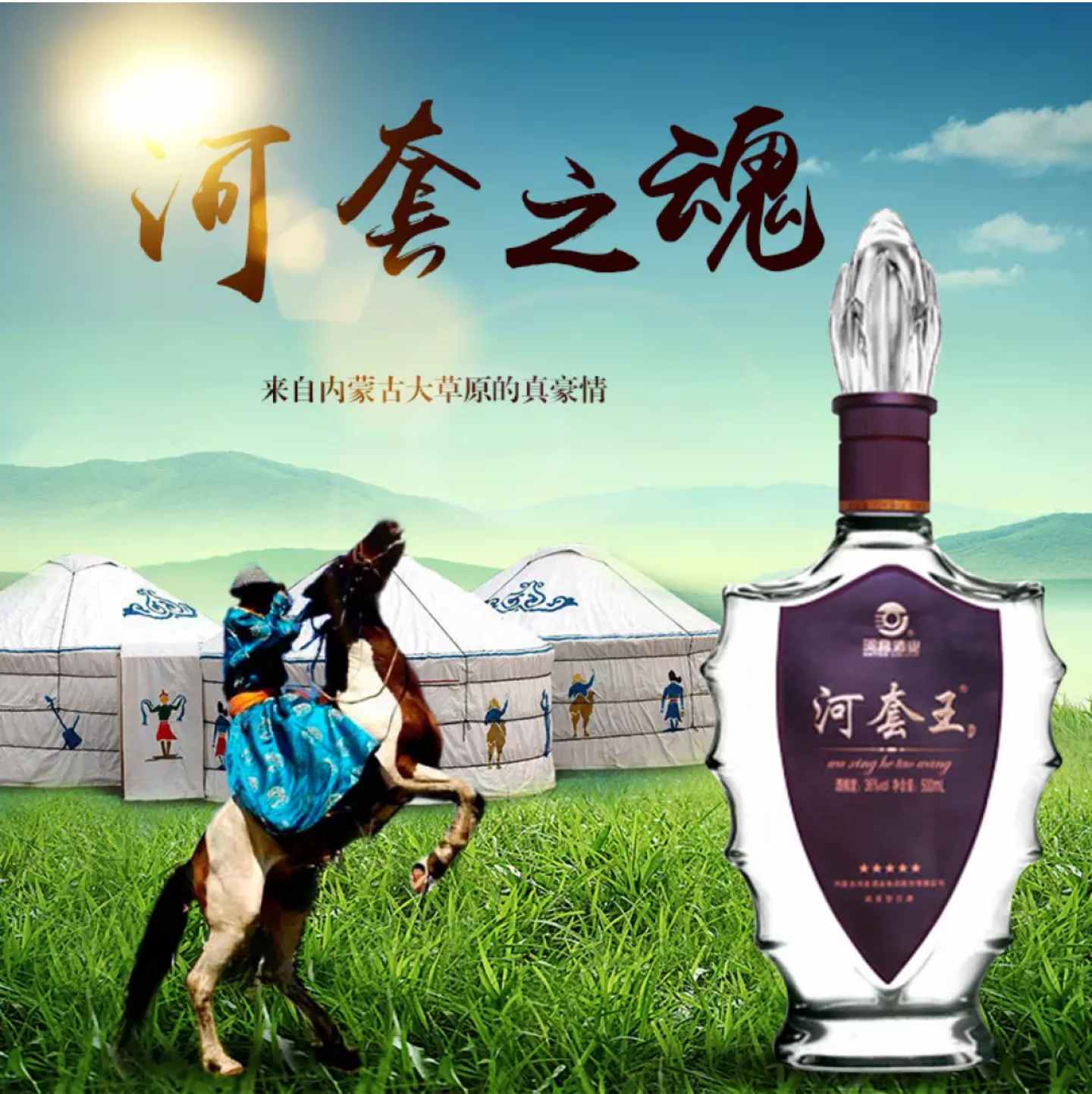 五星河套王〖浓香型3602〗〖2012年产