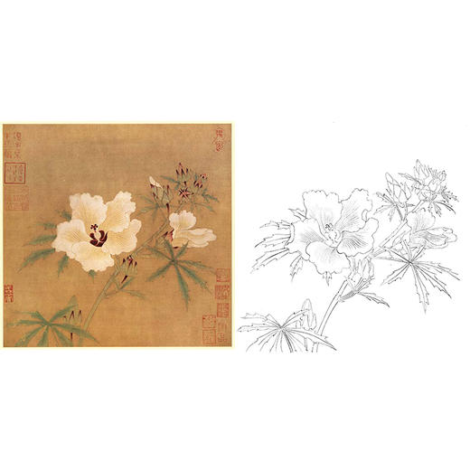 宋画花鸟白描底稿佚名秋葵图斗方小品册页gh20