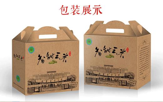 新疆三工滩富硒香糯玉米棒  10根白糯米  非转基因 商品图2