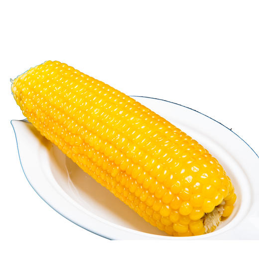 糯玉米棒熟食根12030123