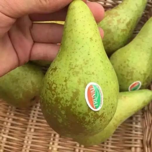 【香甜比利时长啤梨】营养丰富，老少皆宜，啤梨软食时代，放了口感更棒，高端大气有营养 商品图1