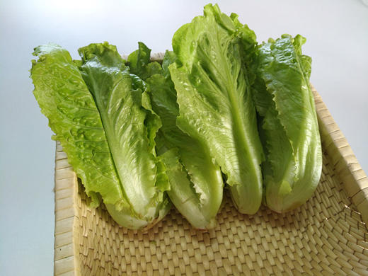 年卡-生菜300克 商品图0